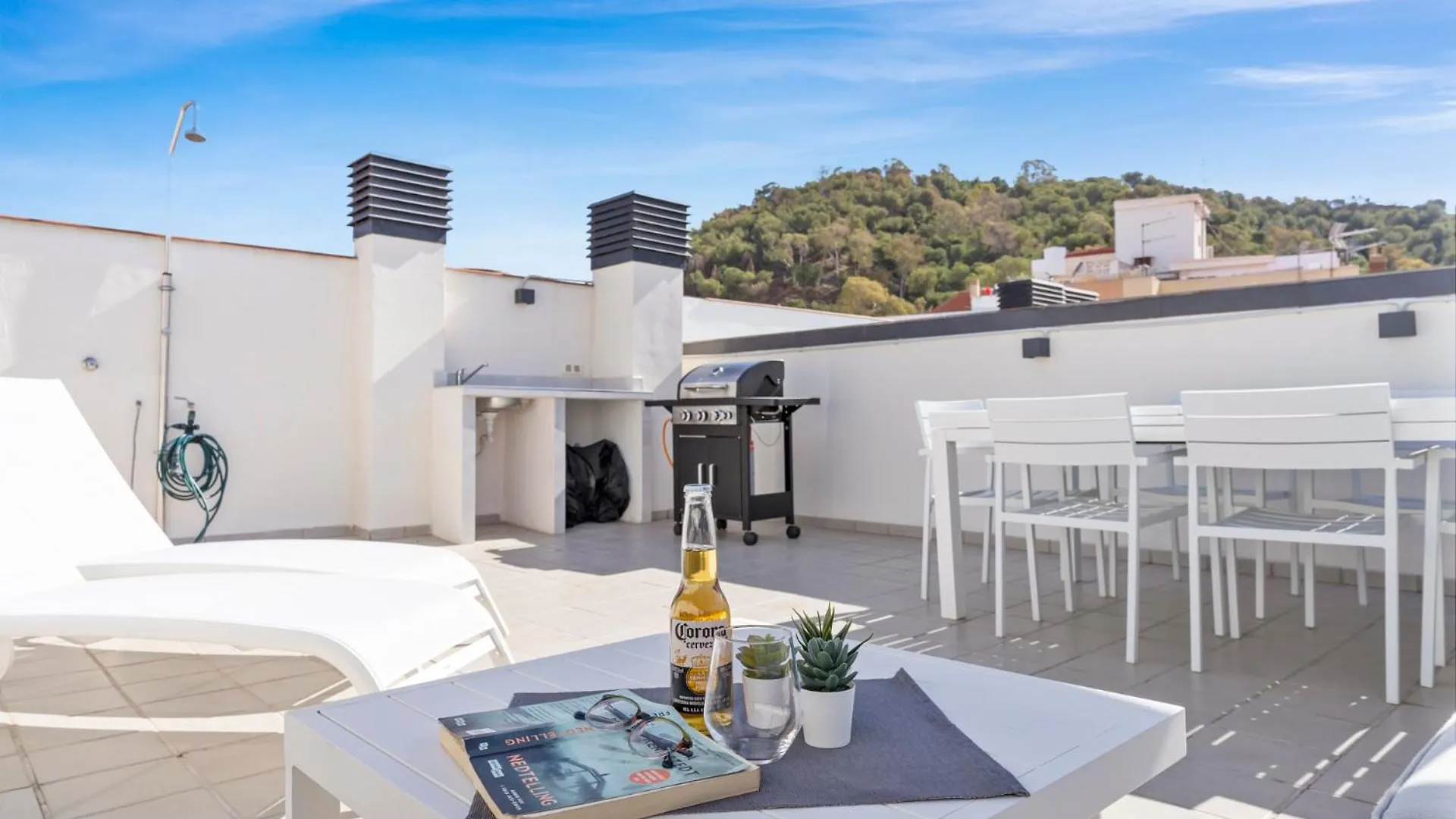 Malaga Unique Top Floor In Historic Center By Costarentals - Mal04 Spain